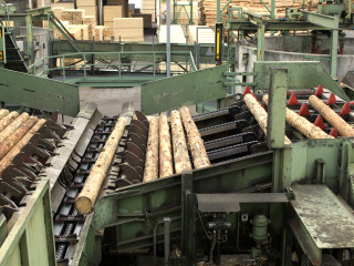 Lumber Conveyor.jpg